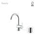 Newform Canada - 71112.58.063 - Single Hole Bathroom Sink Faucets